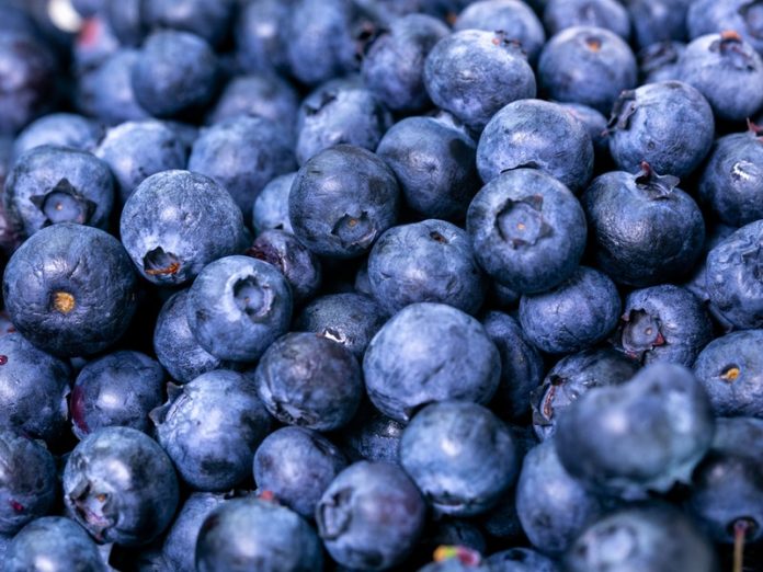 blueberry-basil-frose