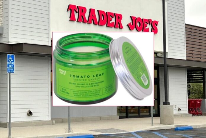 Trader Joe’s Tomato Leaf Scented Candle