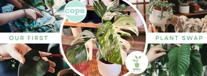 Cope Plant Swap