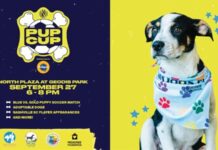 Nashville SC Announces Head Coaches for Inaugural Pup Cup Nashville SC Announces Head Coaches for Inaugural Pup Cup Presented by Mars Petcare and the Pedigree® Brand