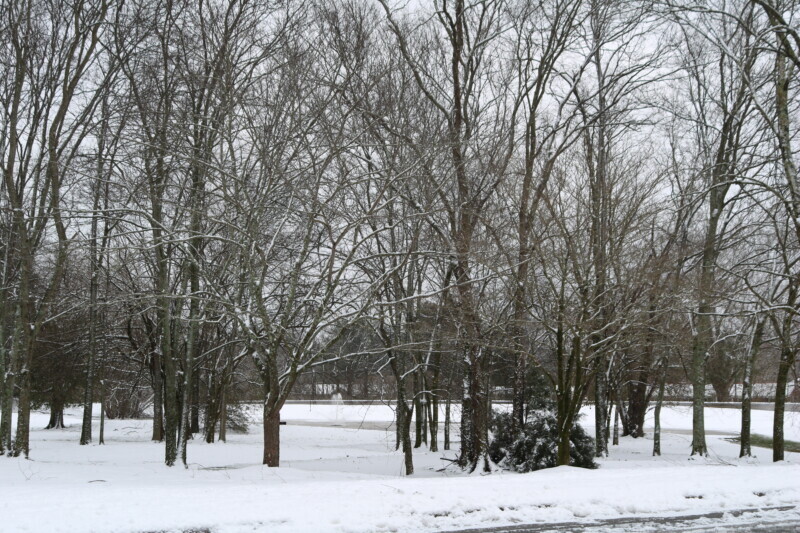 PHOTOS: Snow covers Maury County