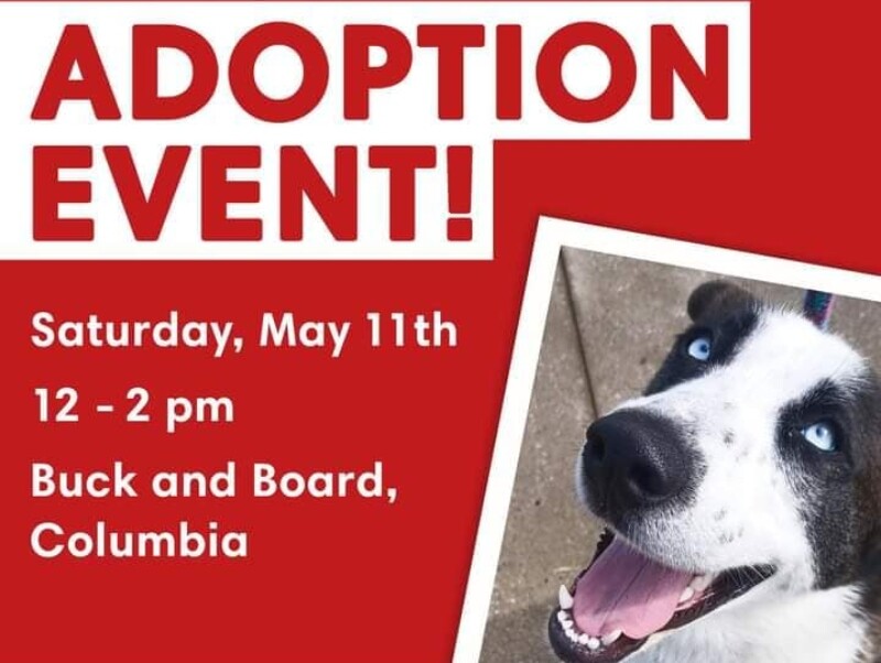adoption event 
