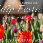 tulip festival