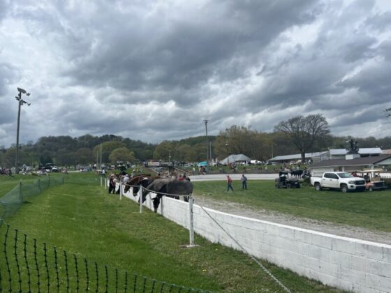 2025 mule day