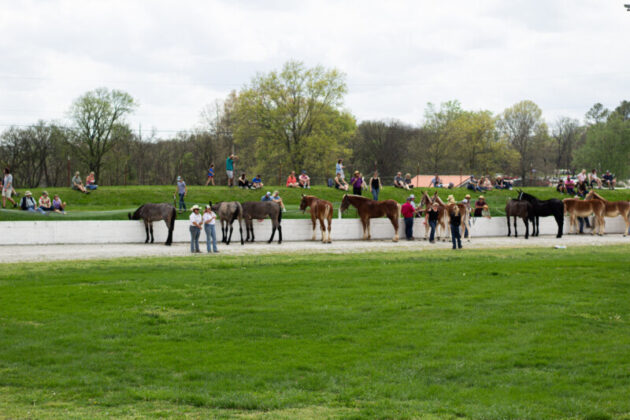 2025 mule day