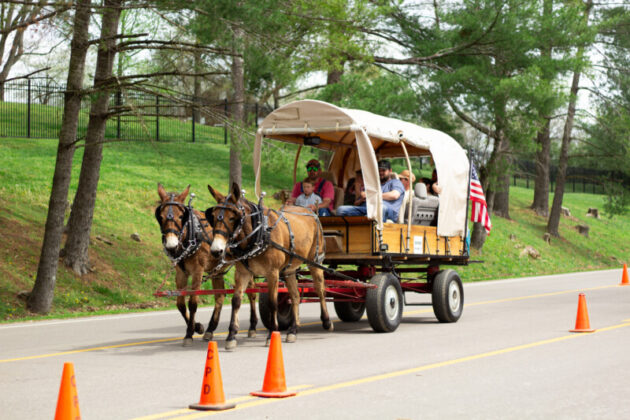 2025 mule day
