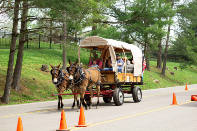 2025 mule day