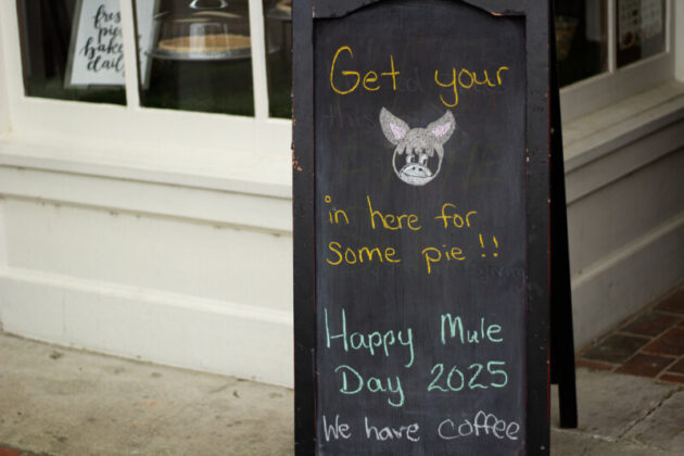 2025 mule day