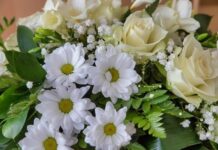 OBITUARY: Mary Frances Winters Mary Frances Winters Obit