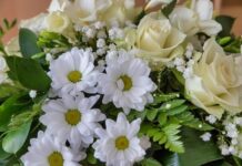 OBITUARY: Sybil Ann Fitzgerald Mitchell