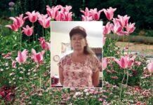 OBITUARY: Brenda Kay (Hudgins) Wix Brenda-Kay-Hudgins-Wix