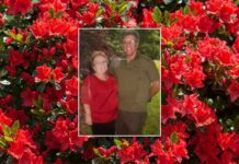OBITUARY: Wilma Darlene (Hensley) Hall Wilma-Darlene-Hensley-Hall