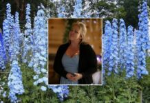 OBITUARY: Edith Pauline Tibbs Sood Edith-Pauline-Tibbs-Sood